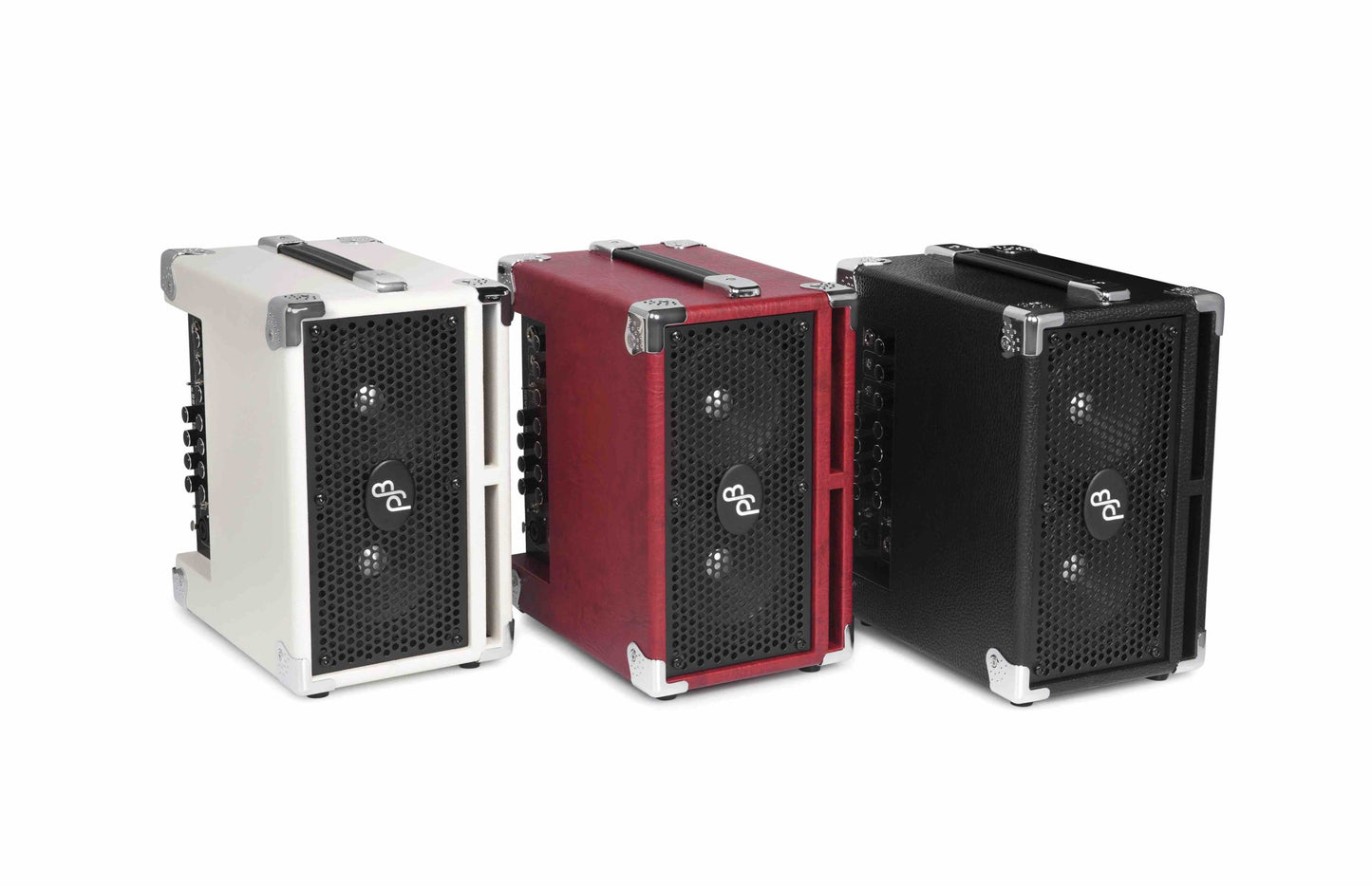 Bass Cub II - Bass Combo, 110 Watt