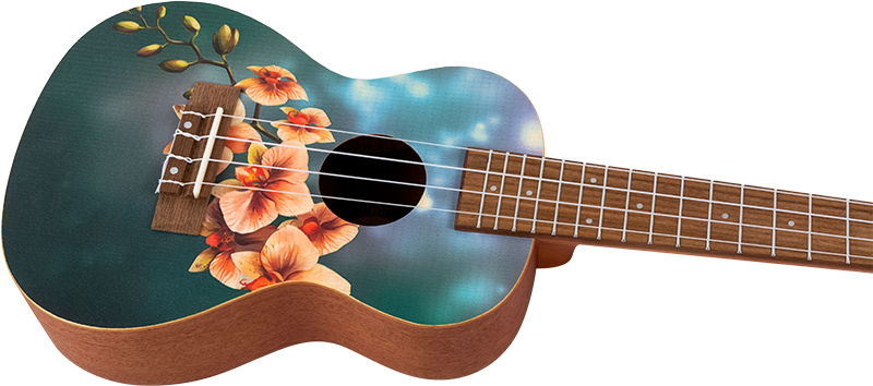 Orchid - Konsert-ukulele