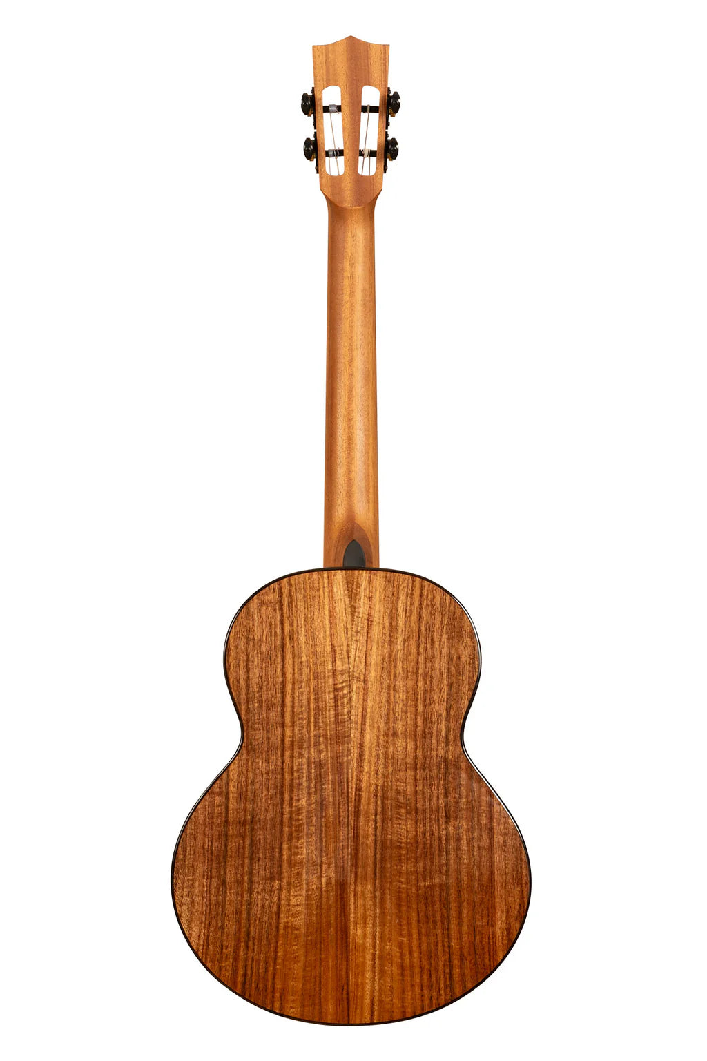 Contour - Bariton - Akasie
