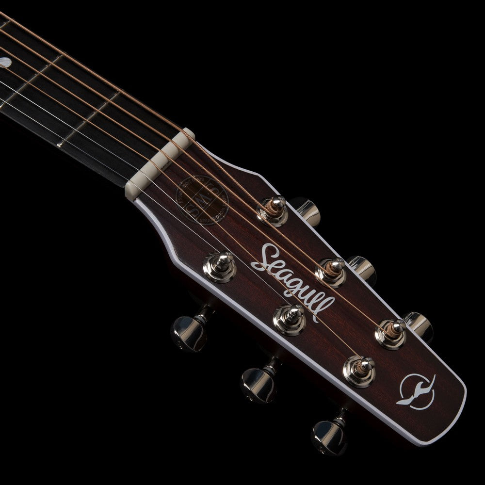 SWS CH CW SG Presys II