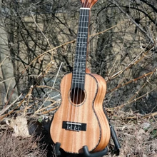 Mye ukulele for pengerne