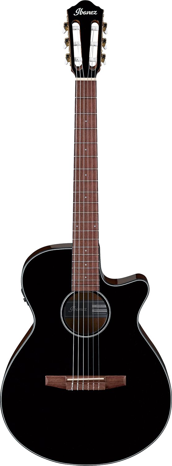 Ibanez - AEG50N-BKH (Thinline)