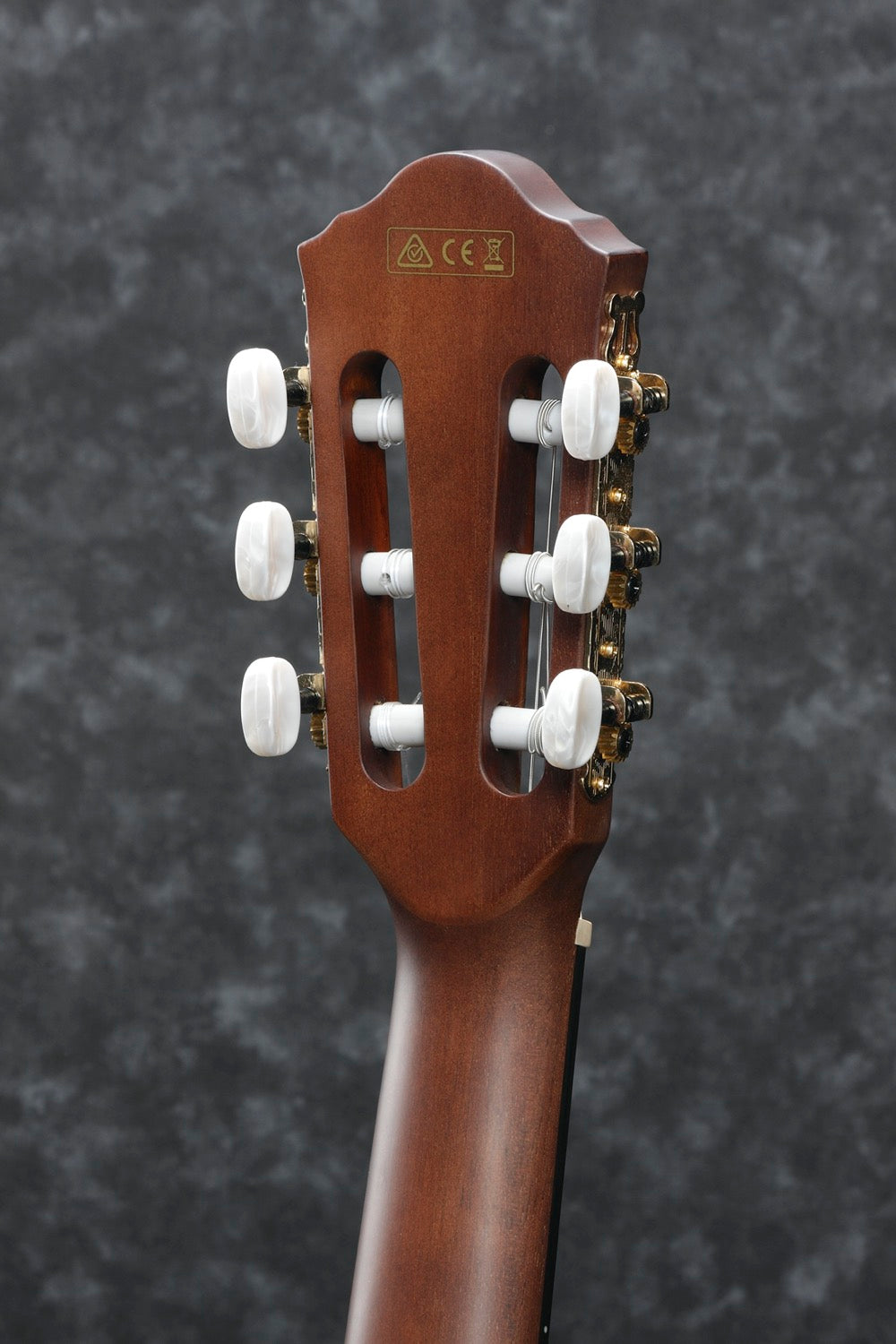 Ibanez - AEG50N-BKH (Thinline)