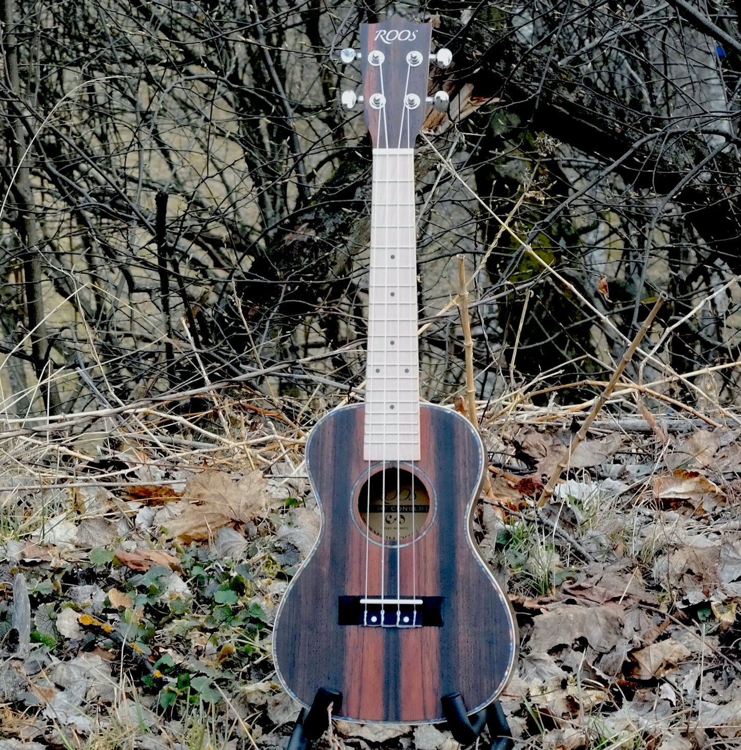 Ebony - Konsert-ukulele