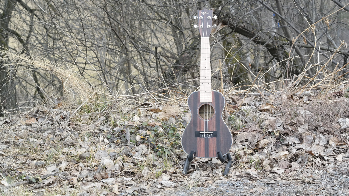 Ebony - Konsert-ukulele