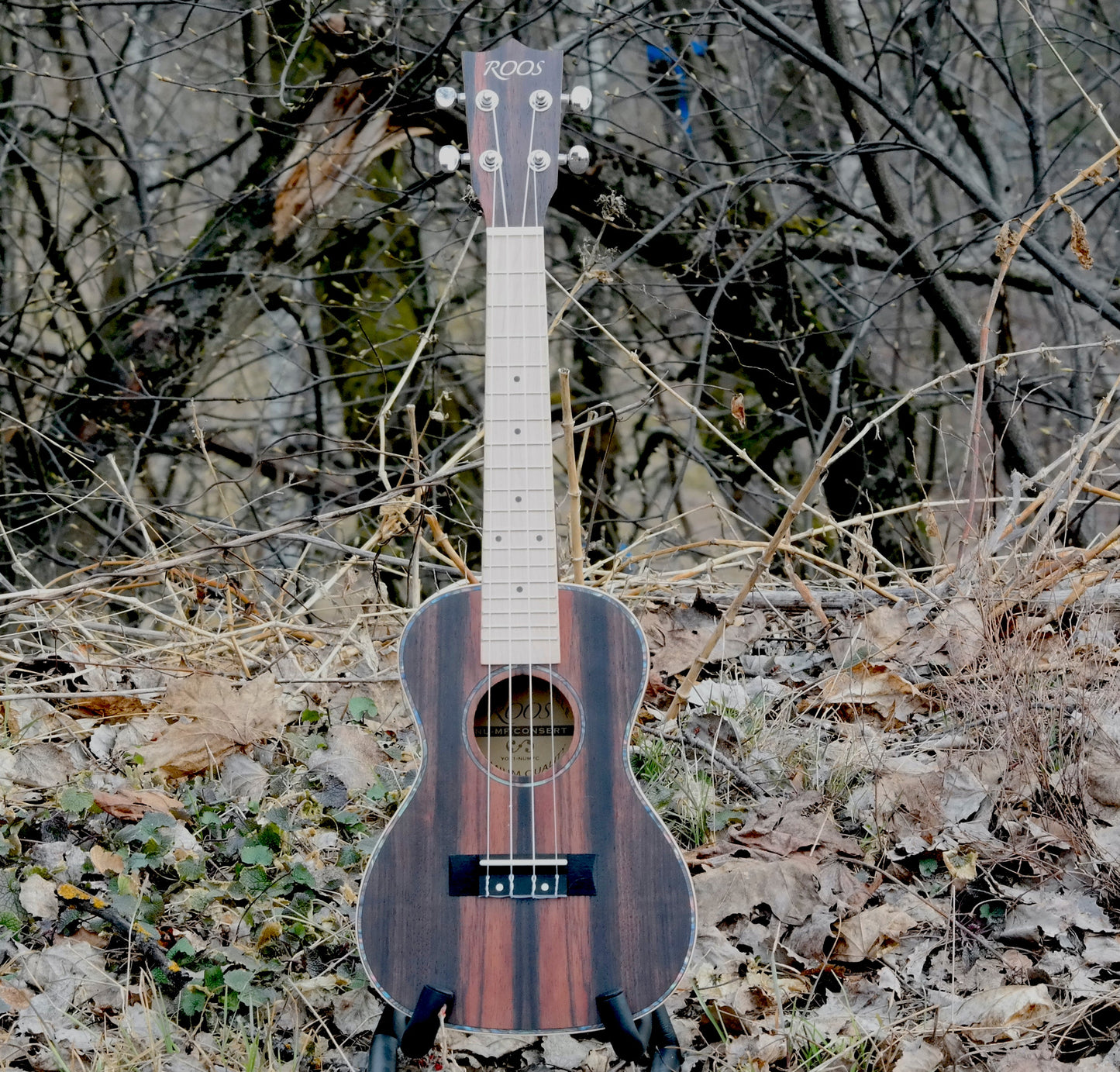 Ebony - Konsert-ukulele