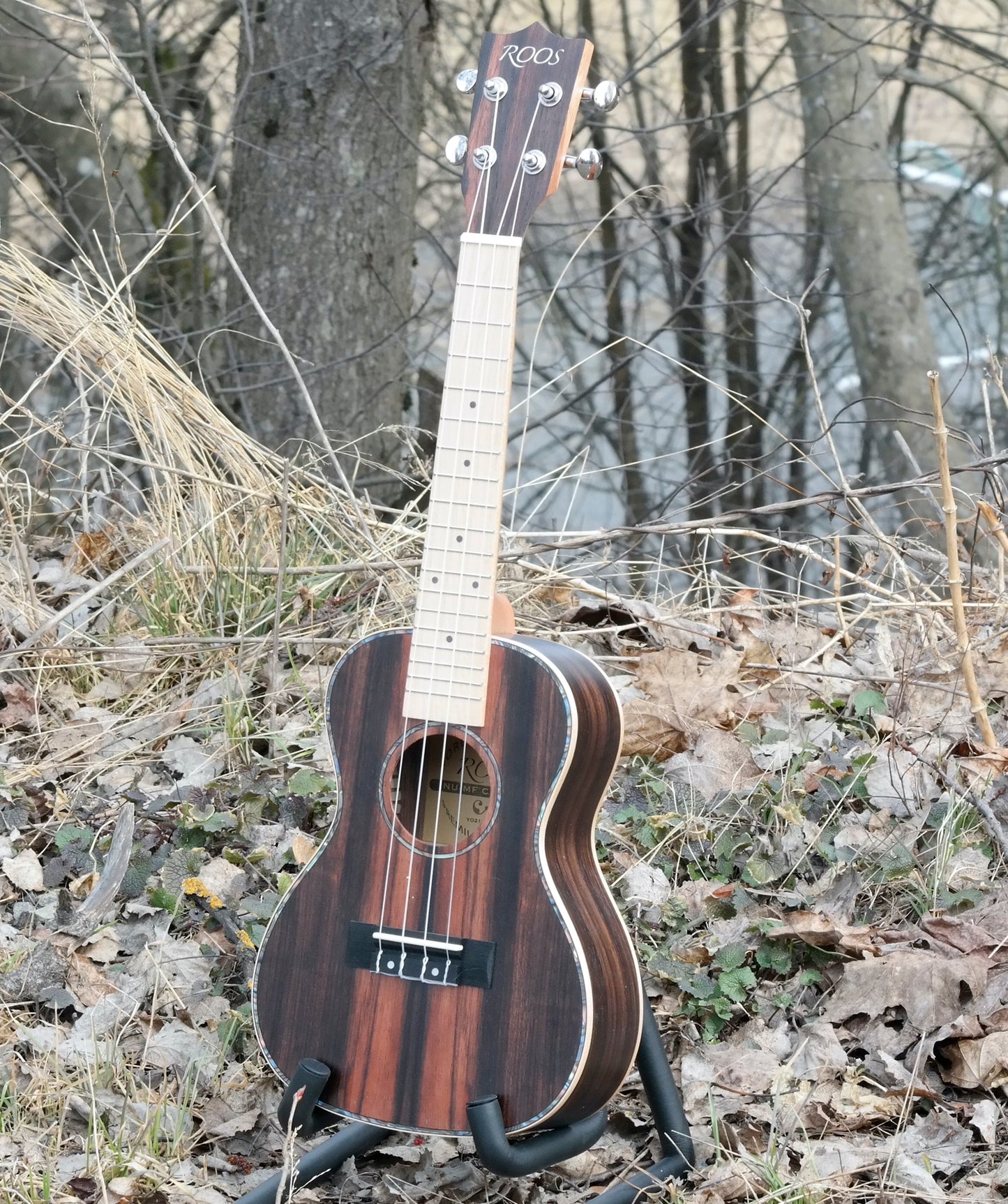 Ebony - Konsert-ukulele
