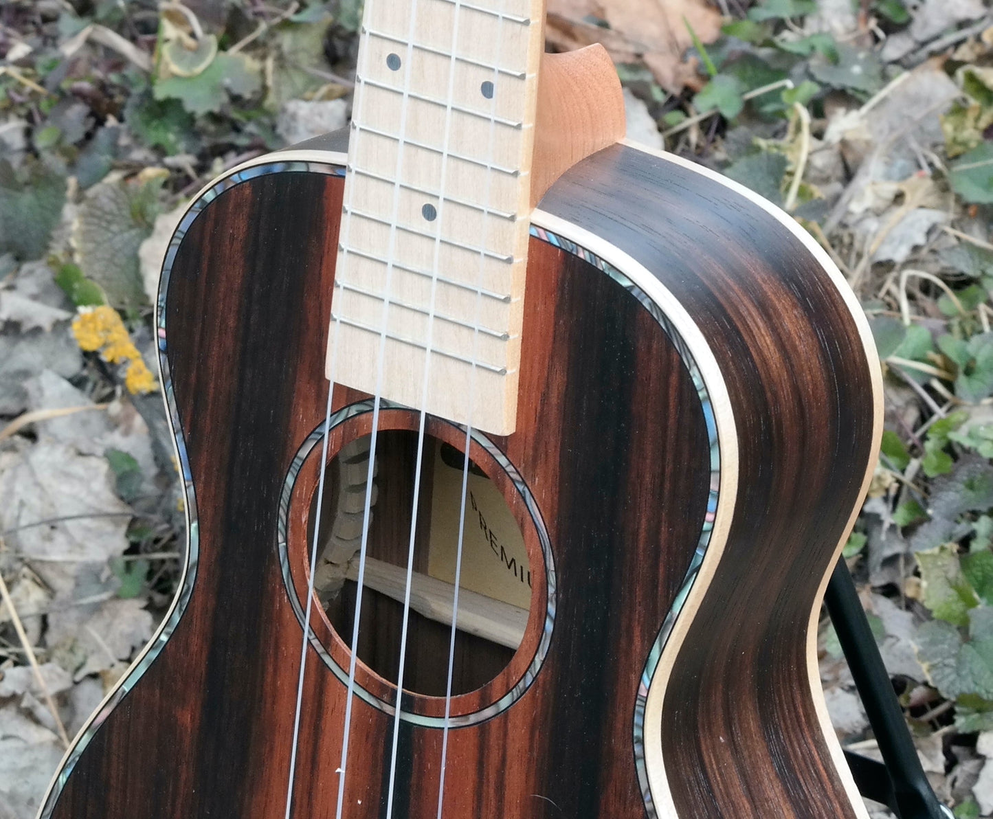 Ebony - Konsert-ukulele
