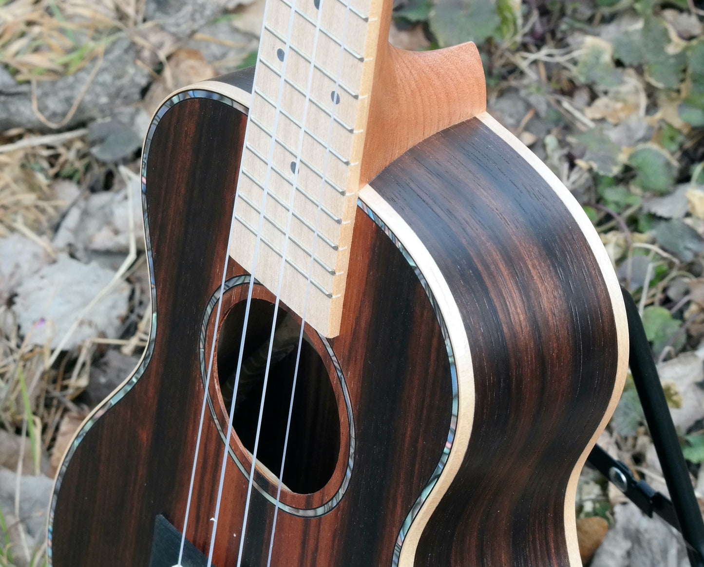 Ebony - Konsert-ukulele
