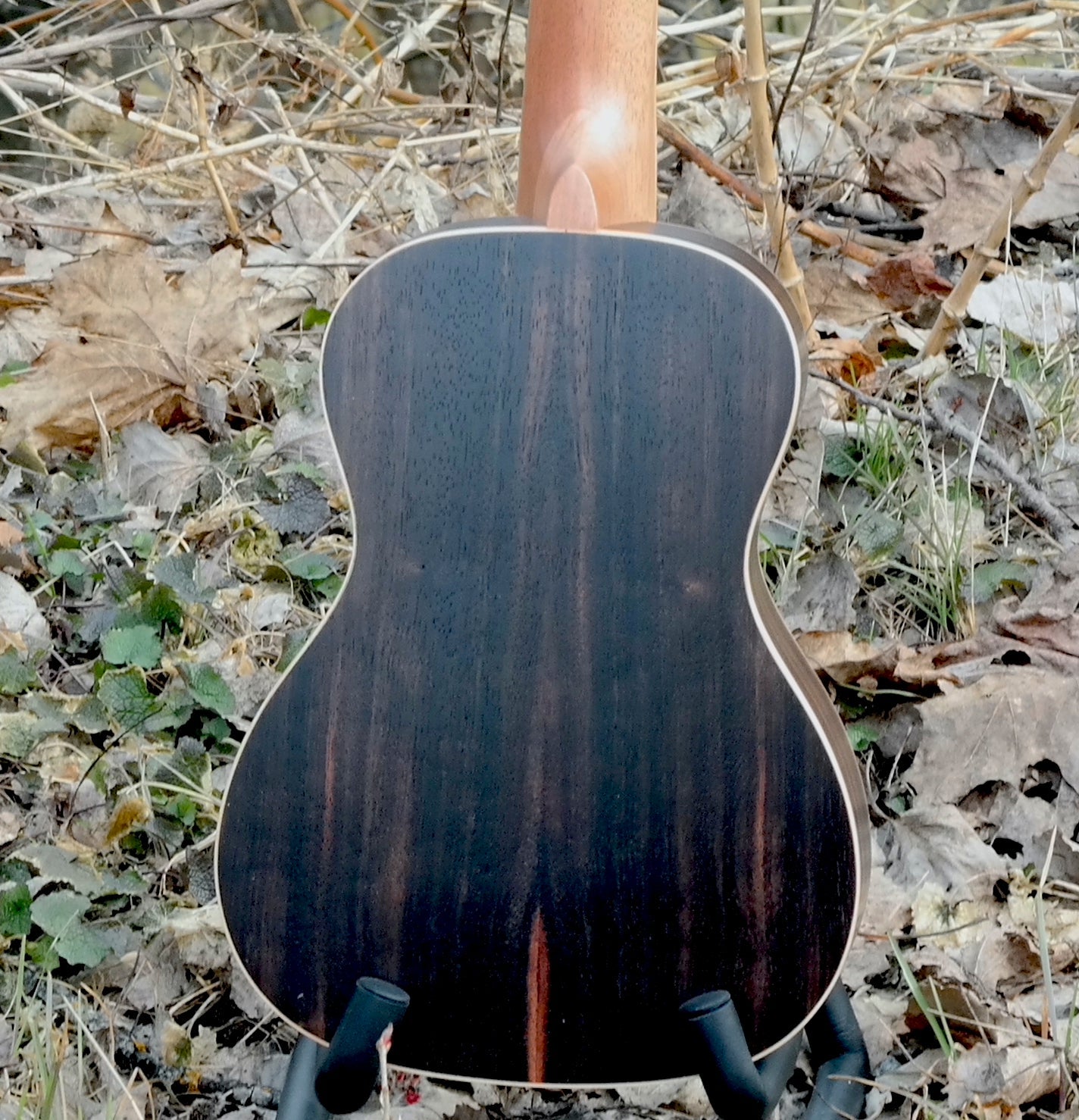 Ebony - Konsert-ukulele