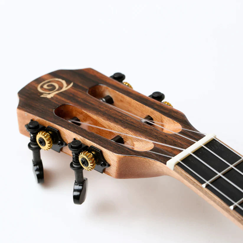 Ebony og solid gran - Konsert-ukulele