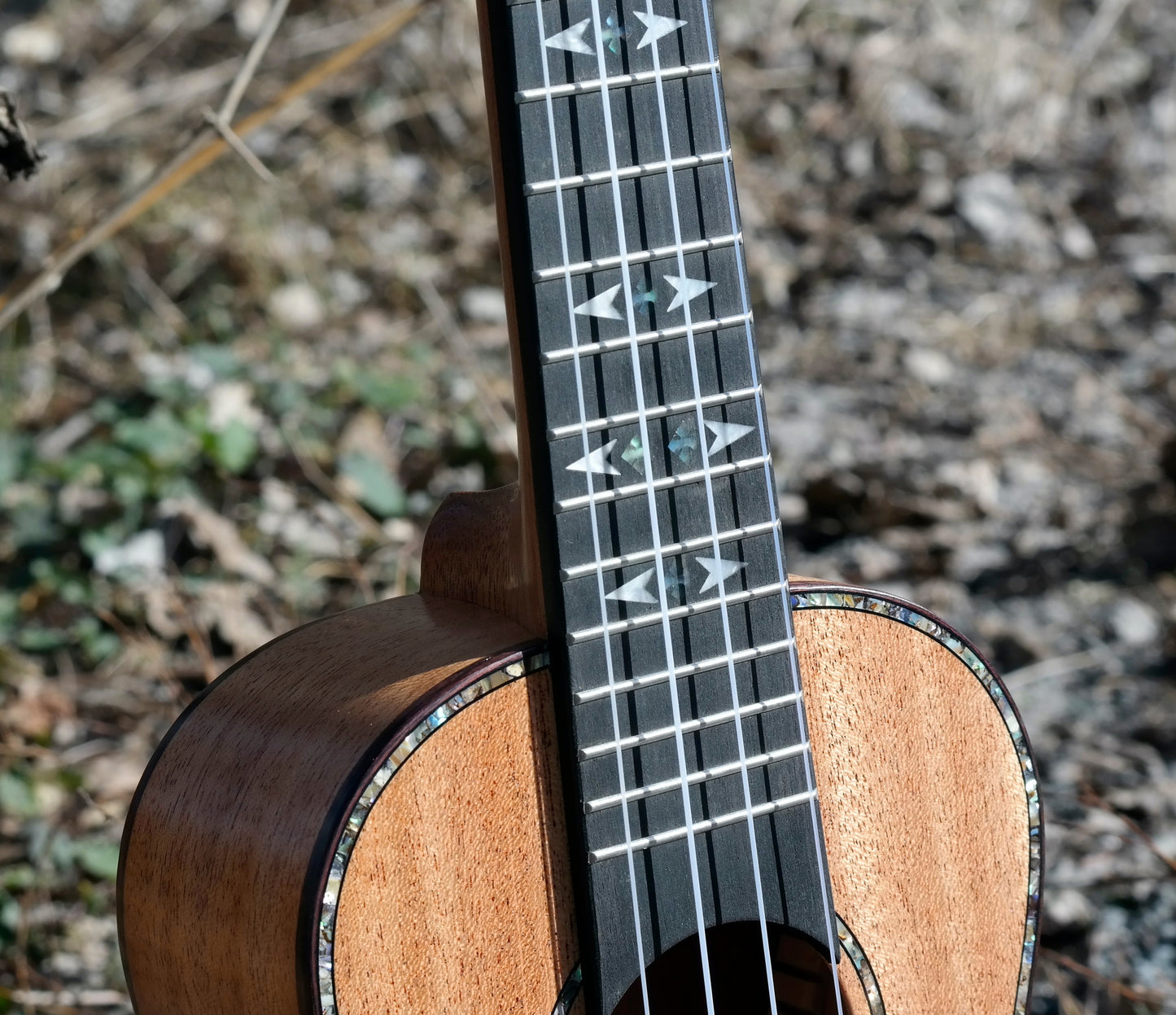 LOMA - Konsert-ukulele
