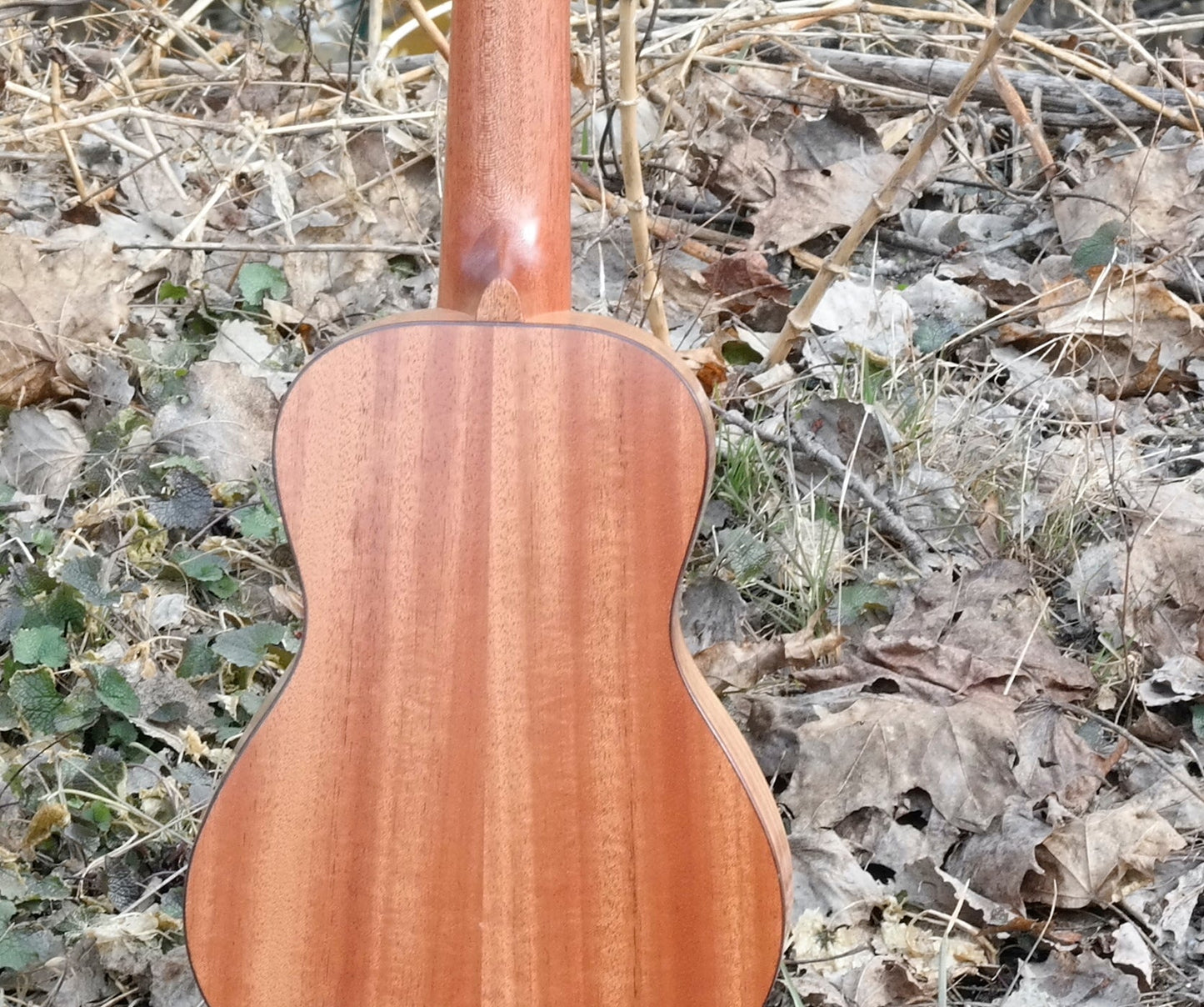 LOMA - Konsert-ukulele