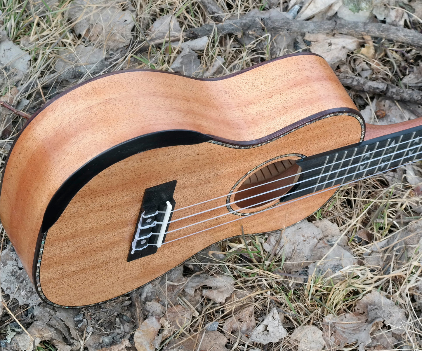 LOMA - Konsert-ukulele