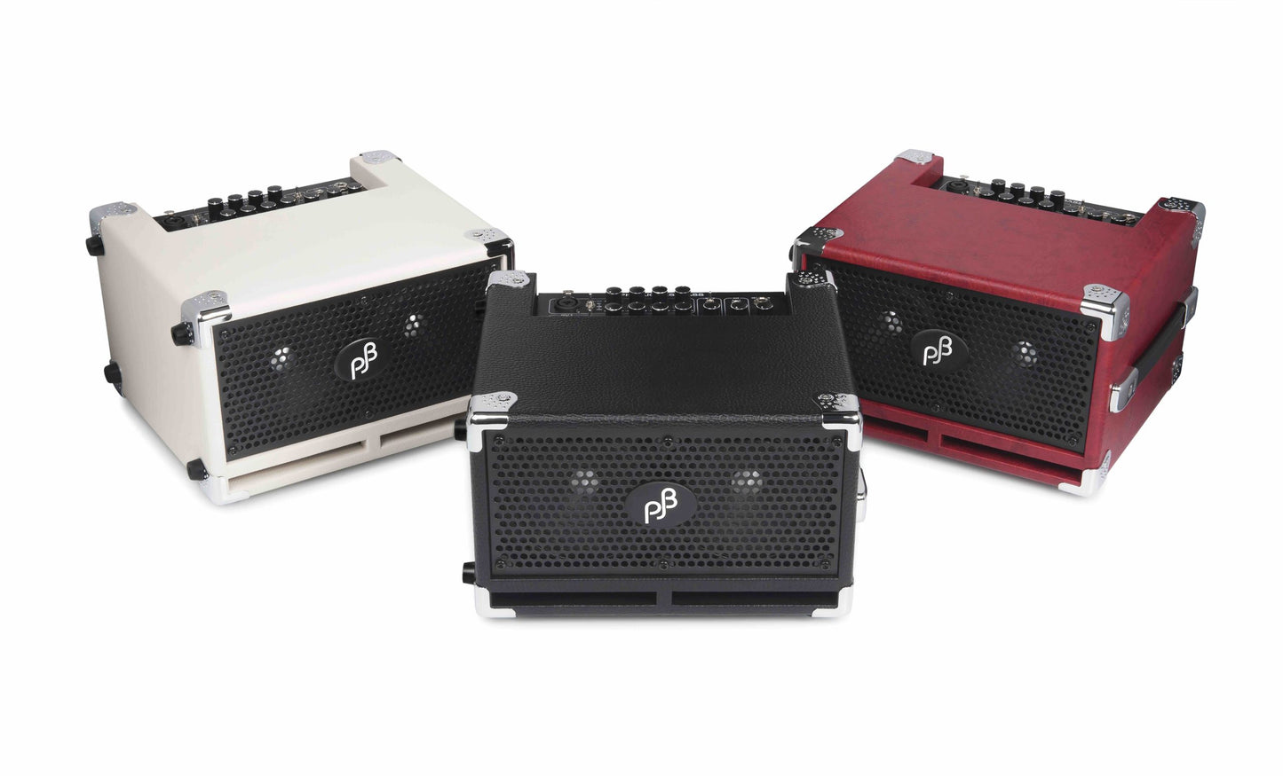 Bass Cub II - Bass Combo, 110 Watt