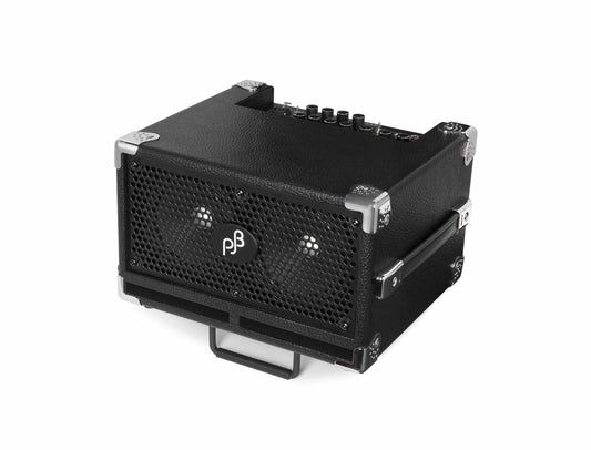 Bass Cub II - Bass Combo, 110 Watt