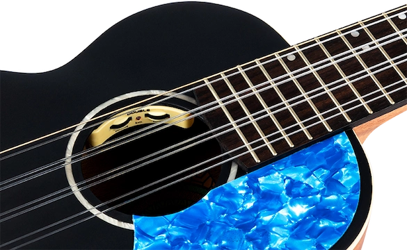 Iris 8 Tenor