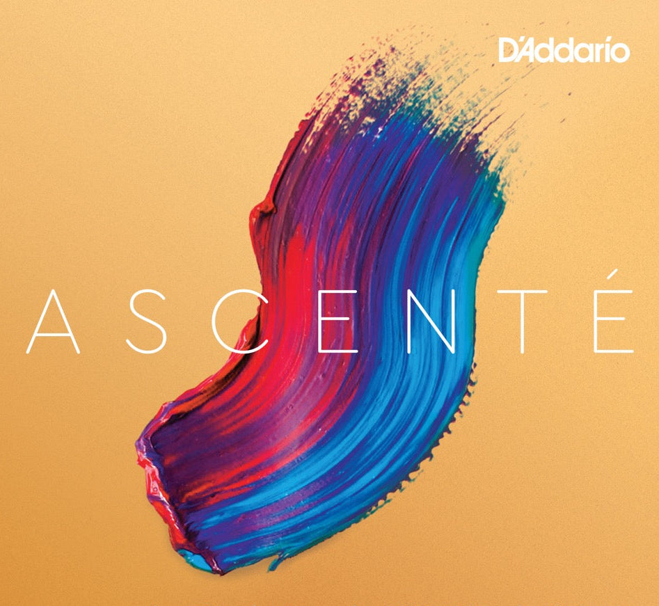 D'Addario Ascente - Single Strings