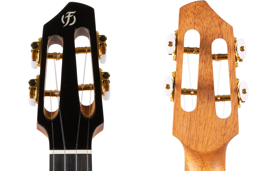 A10 SC Cocobolo Dragon - Tenor-ukulele
