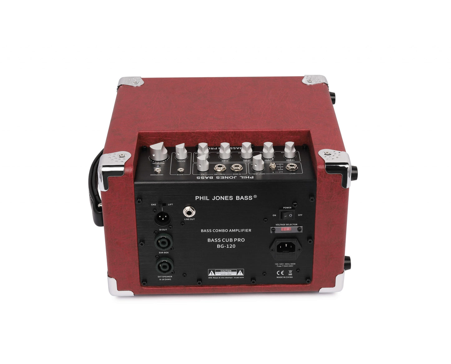 Bass Cub Pro - Bass Combo, 120 Watt