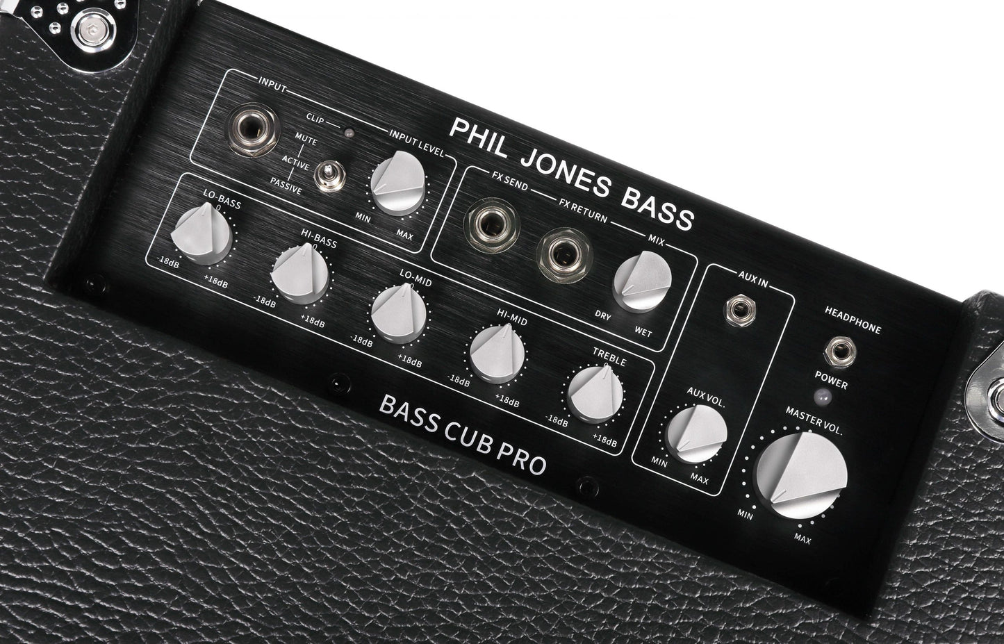 Bass Cub Pro - Bass Combo, 120 Watt