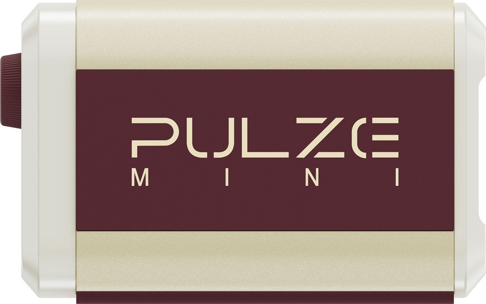 Hotone Pulze Mini BT