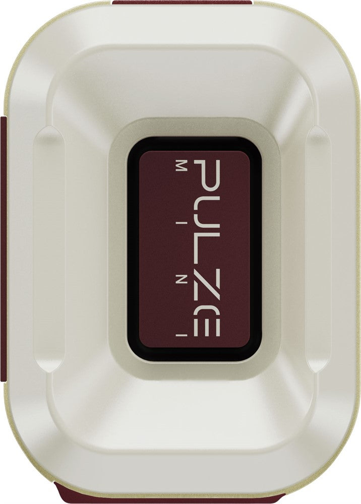 Hotone Pulze Mini BT