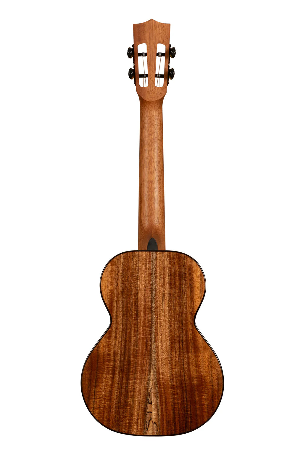 Contour - Tenor - Akasie