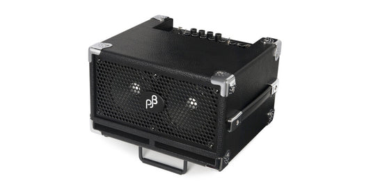 Bass CUB II - Bass Combo, 110 Watt