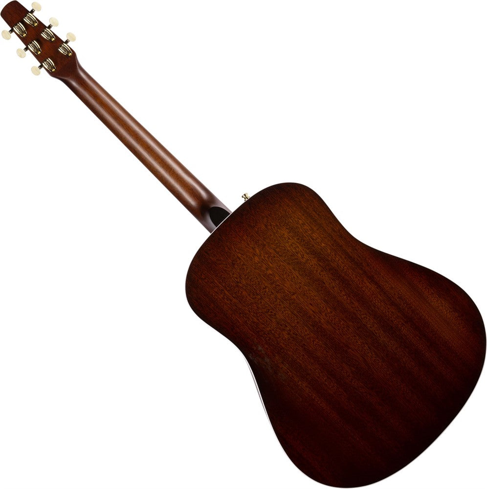 SWS Burnt Umber GT Presys II