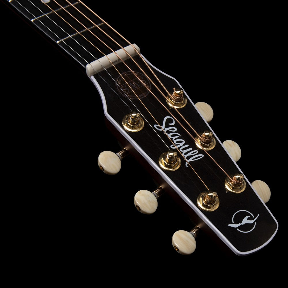 SWS Burnt Umber GT Presys II