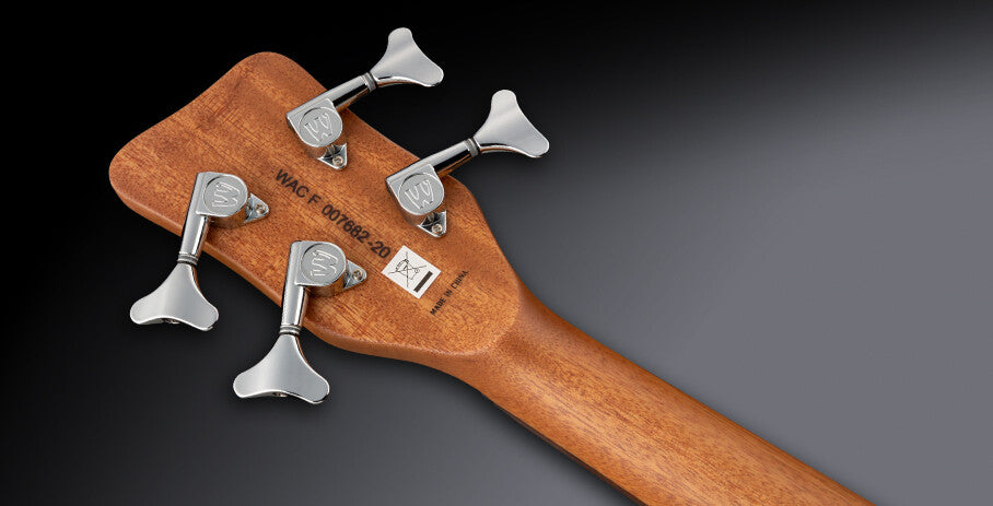 RockBass Alien Deluxe Hybrid Thinline, 4-String