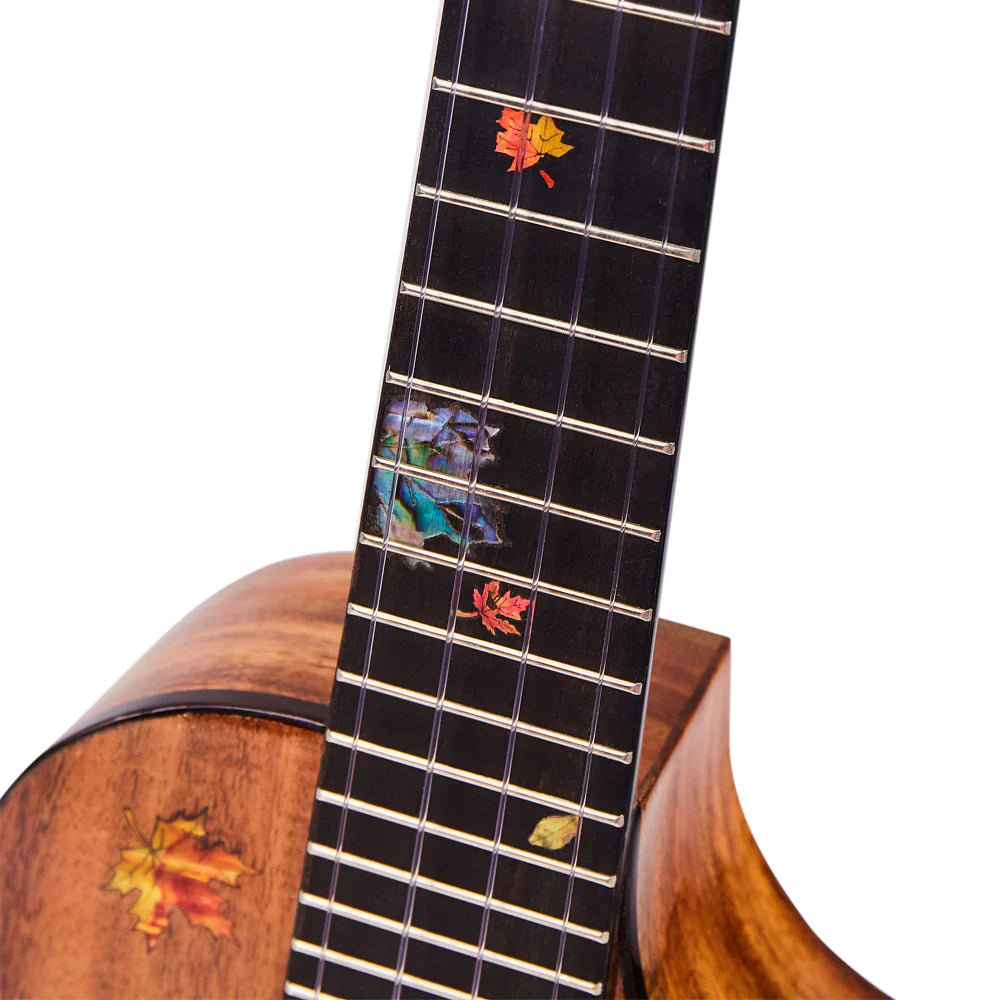 Full av farger og energi - Konsert-ukulele
