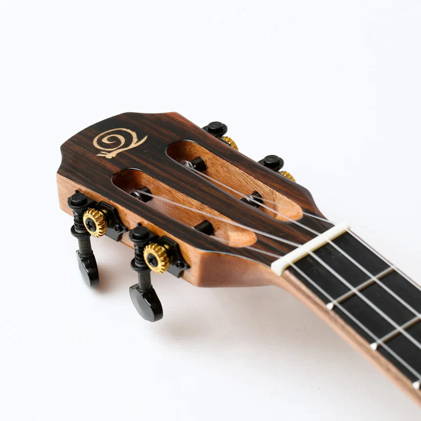 Spruce Gloss Tenor Ukulele