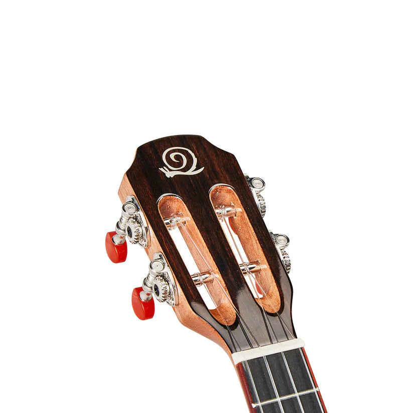 Akasietre - Konsert-ukulele