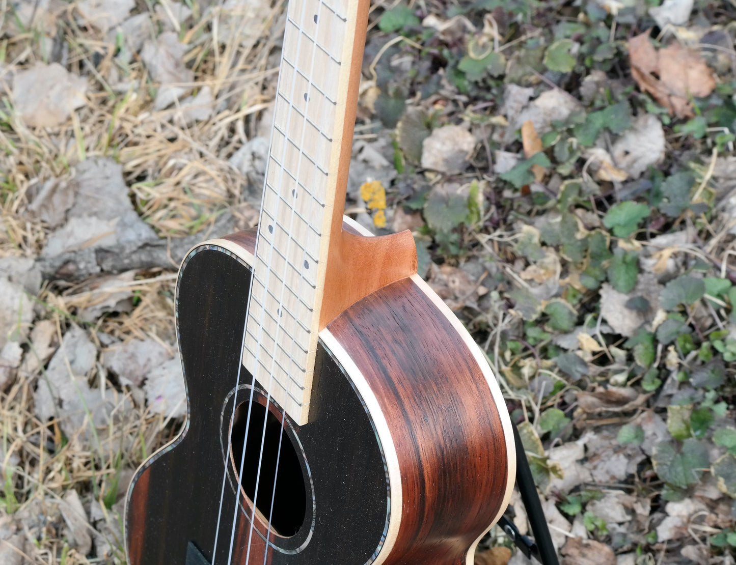Roos Ebony - Tenor-ukulele