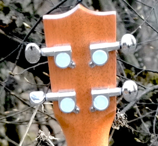 Roos Ebony - Tenor-ukulele