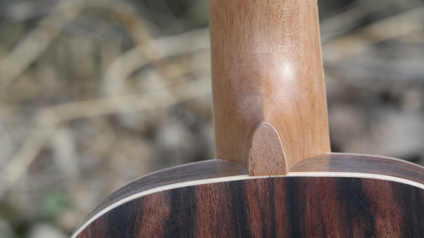 Roos Ebony - Tenor-ukulele