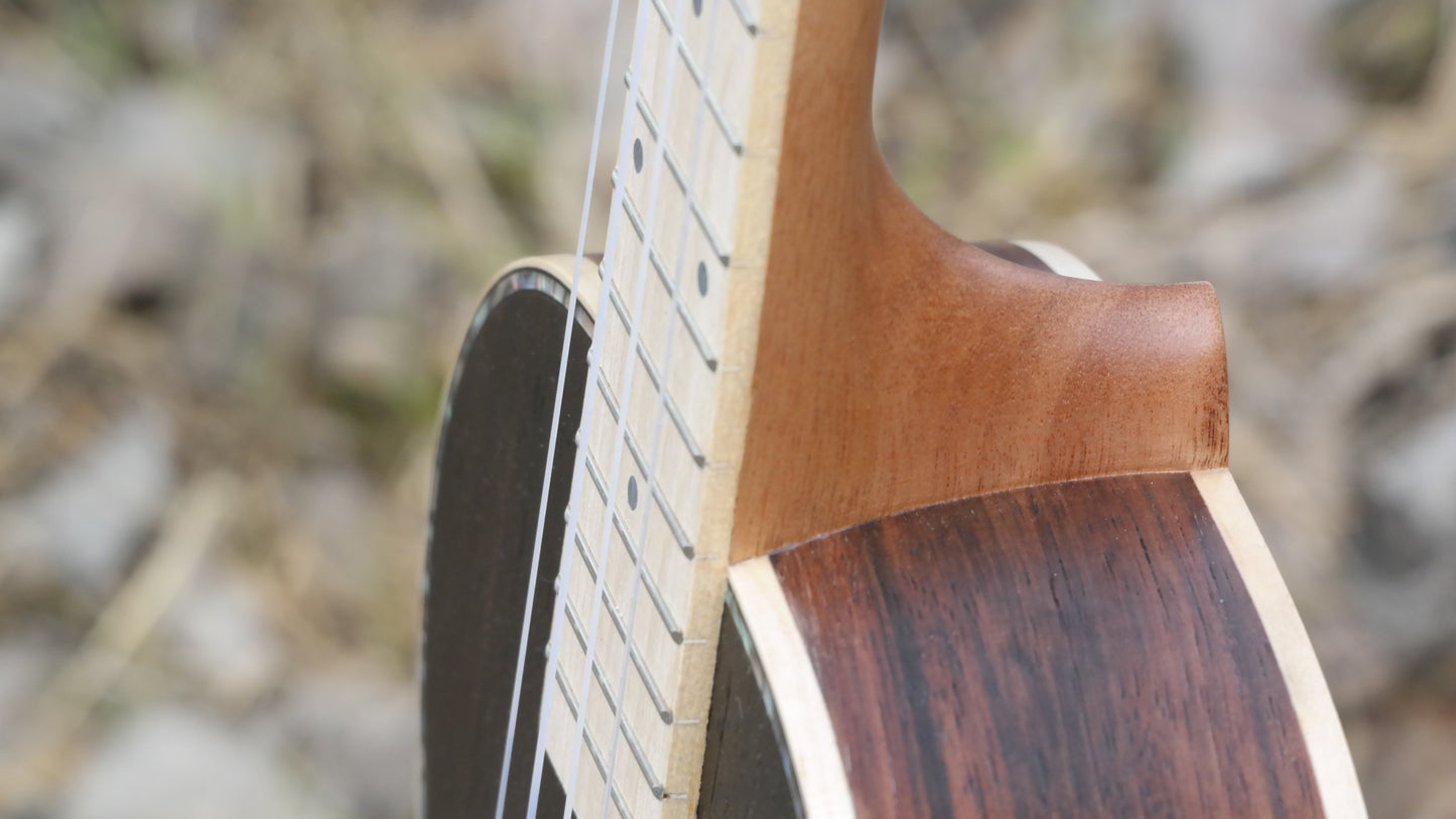 Roos Ebony - Tenor-ukulele
