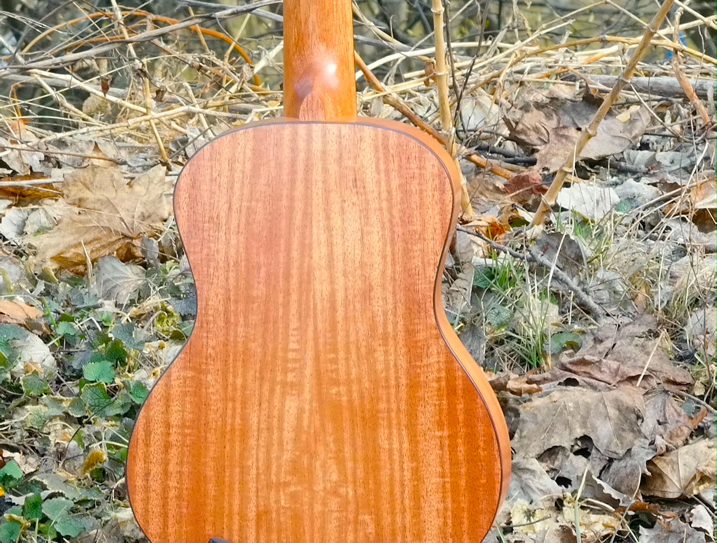 LOMA Tenor-ukulele